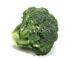 Broccoli Made in Korea
